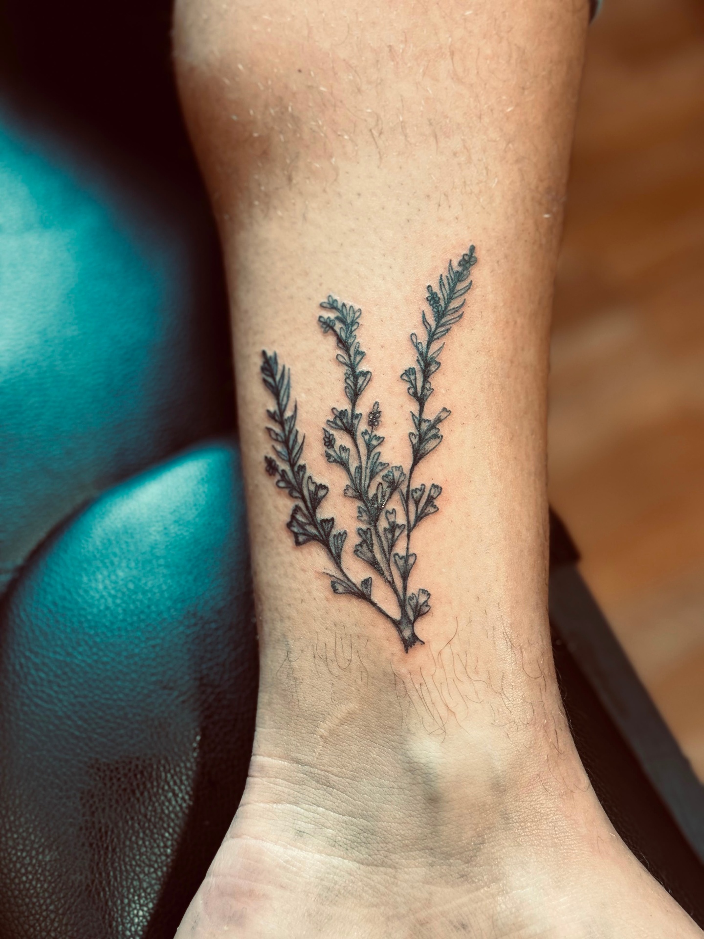 Botanical Study